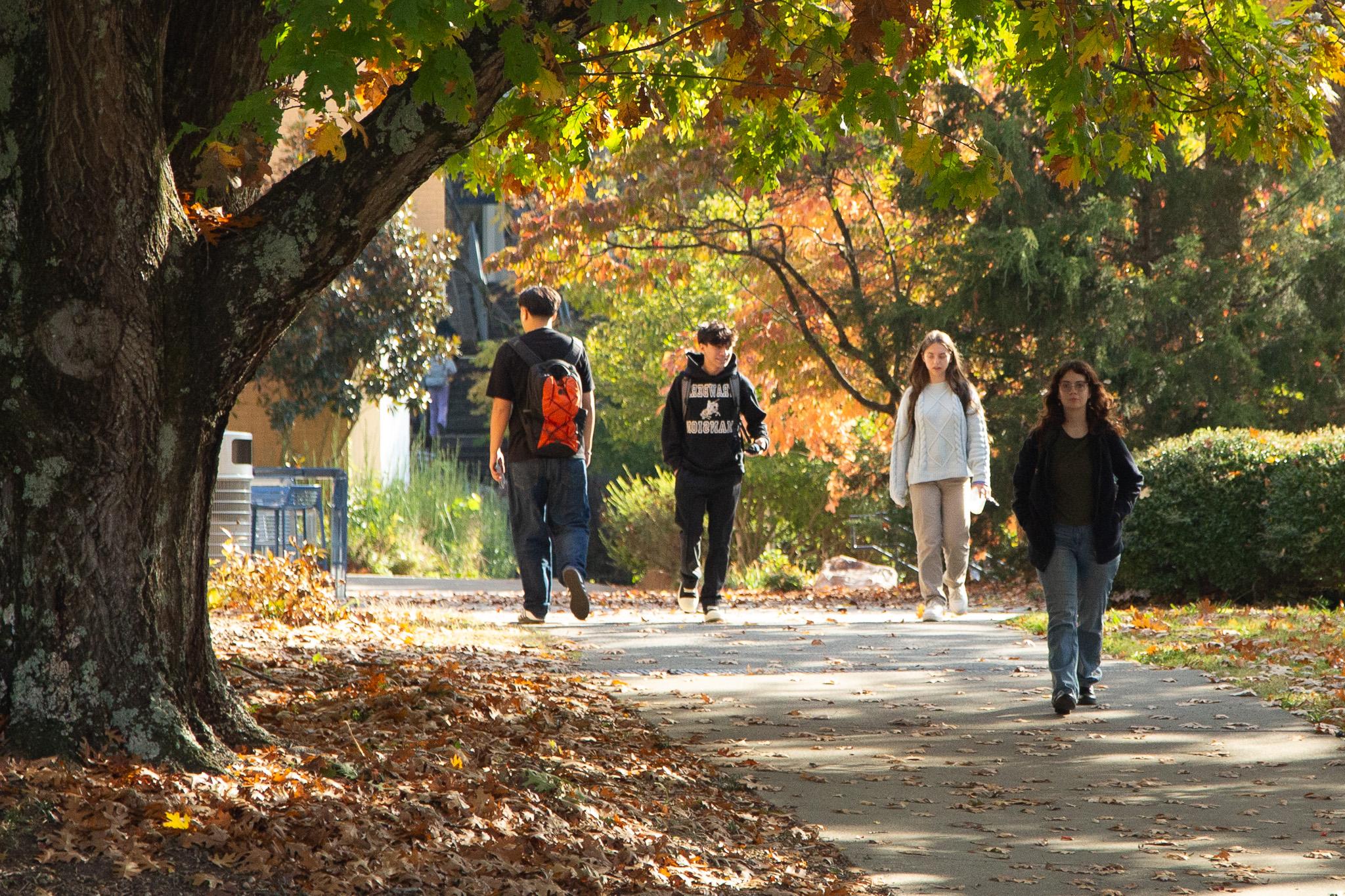 Students walking under fall trees on campus